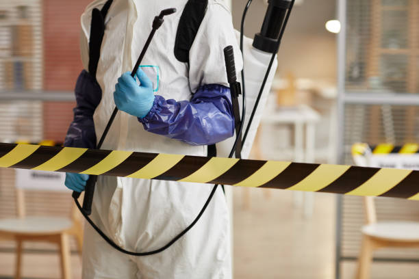 Professional Sewage Cleanup technician working in Altaville, CA